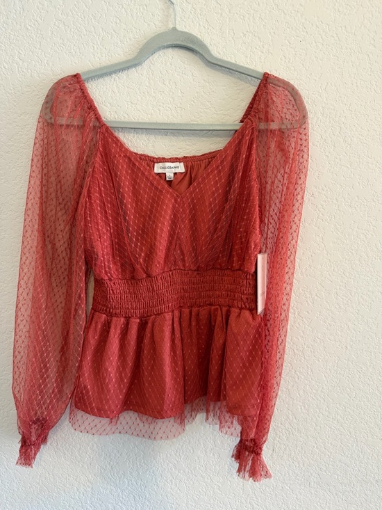 Calligraphie Tops - Calligraphie Red Sheer Long-Sleeve Smocked Peplum Blouse